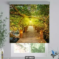 پرده شید رول تصویری منظره و جنگل کد st-9621