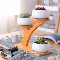 استند گل و گیاه نارون مستر چوبی