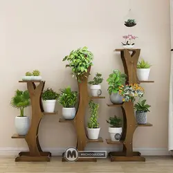 استند گل و گیاه نارگل مستر چوبی