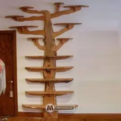 کتابخانه درختی شایسته مستر چوبی