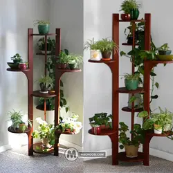 استند گل و گیاه فرنواز مستر چوبی