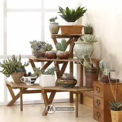 استند گل و گیاه فروغ مستر چوبی