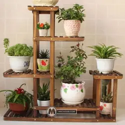 استند گل و گیاه فرگل مستر چوبی