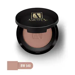 رژگونه پودری آموتیا BW540