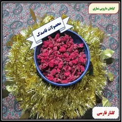 نرمه گلنار فارسی