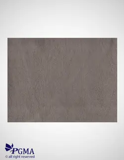 خریدچرم پارچه سیلویا