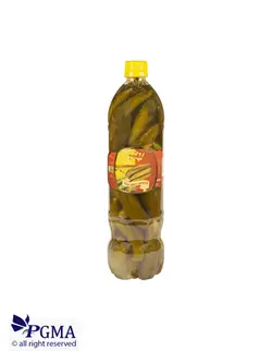 خیارشور بطری اوجاقی