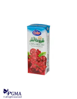 آبمیوه کوچک زرشک آلبالو (میهن)