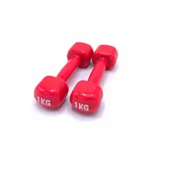 دمبل تفلون 1 کیلویی