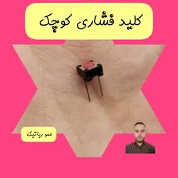 کلید فشاری روشن خاموش لحظه ای کاردستی کلاس رباتیک سنندج سقز مریوان بانه قروه کامیاران بیجار دیواندره دهگلان سروآباد قم