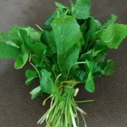 سبزی تازه زولنگ یا چوچاق 4کیلویی