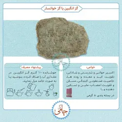 گز انگبین خالص درجه یک بار امسالی گز خوانساری - بسته 50گرمی Persian Manna