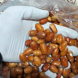 سنجد محلی درمانی امسالی 1402 سایز ریز درشت درهم 500 گرمی