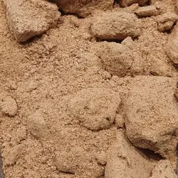 پودر سنجد با هسته