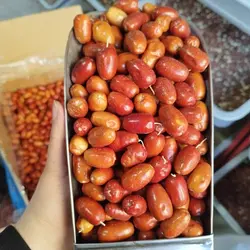سنجد درجه1 امسالی دستچیننیم کیلو