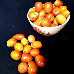سنجد شیرین و تازه و مقوی