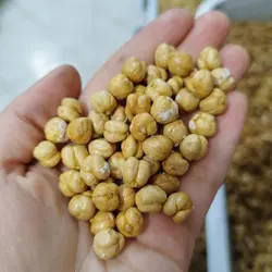 نخودچی دوآتیشه شور 250گرمی نخودچی شور