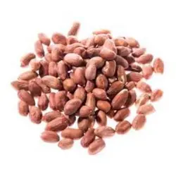 بادام زمینی استانه 500 گرم آستانه اشرفیه شمال