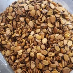 تخمه هندوانه تر شوشتری