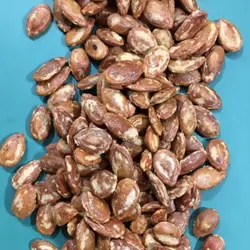 تخمه هندوانه جابنی نمکی200 گرمتخمه ژاپنی