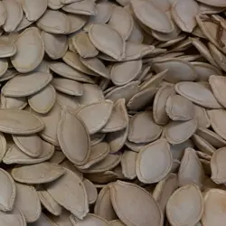 تخمه کدو گوشتی500گرمیبوداده تبریز