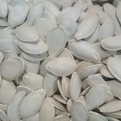 تخمه کدو گوشتی محلی خام یک کیلویی