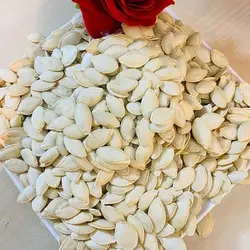 تخمه کدو خام خوشمزه وپر مغز ،محصول امسال از مزارع آذربایجان، در بسته بندی 1000گرمی
