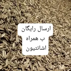 تخمه نمکی میشه باخرید 3کیلو خوش طعم تازه و باخرید 10کیلو نیم کیلو میشود