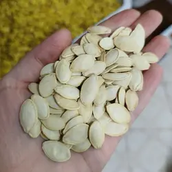 تخمه کدو سفید گوشتی ایرانی یک کیلو