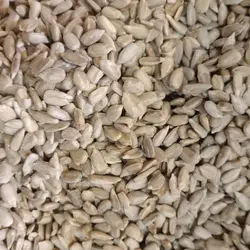 مغز تخمه آفتابگردان تازه یک کیلویی آجیل و خشکبار مهران