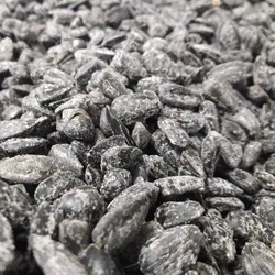 تخمه آفتابگردان ریز پرمغز روغنی نیم کیلو