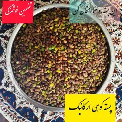 مغز پسته کوهی بنه تازه پارسین 100 گرمی