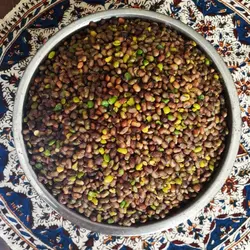 مغز پسته کوهی بنه تازه پارسین