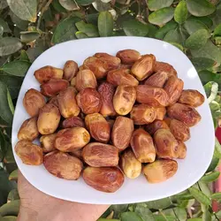 خرمای زاهدی 2 کیلویی درجه یک قصب زرد و تازه برداشت مهر 1402 مستقیم از باغدار خرما