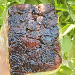 خرمای کبکاب 2 کیلویی درجه یک تازه برداشت 1402 مستقیم از باغدار خرما
