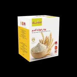 پودر جوانه گندم بین استار جعبه حاوی 25 عدد ساشه 15 گرمی جدید