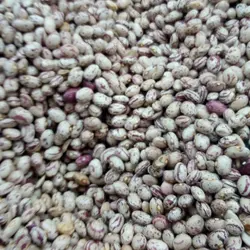 لوبیا چیتی درجه یک ایرانی400 گرم