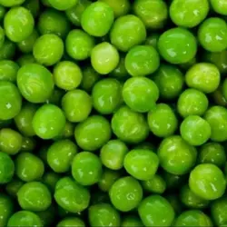 نخود فرنگی نخودسبز1000گرم به صورت پس کرایه میباشد