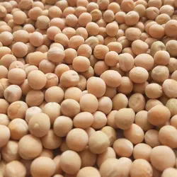 نخود فرنگی محلی خشک محصول 1402 500گرمی