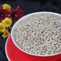 عدس درشت درجه یک