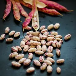 لوبیا چیتی سورت شده ممتاز 800گرم کارون