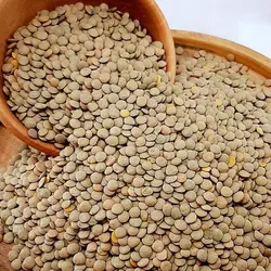 عدس درشت یک کیلویی گیاهینو