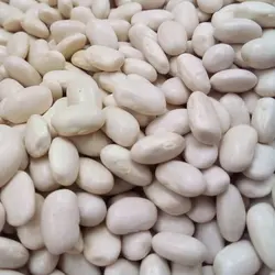 لوبیا سفید 1 کیلو