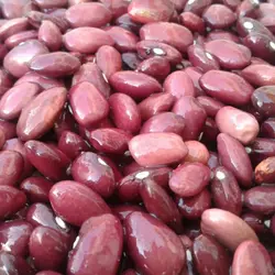 لوبیا قرمز 1 کیلویی