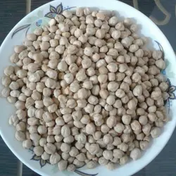 نخود یک کیلوگرم