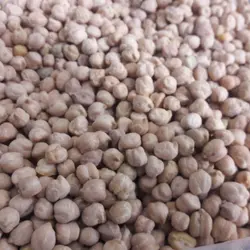 نخود آبگوشتی تمیز و خوشپخت یک کیلویی