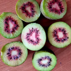 کیوی خونی تو سرخ 10 کیلوگرم جدید