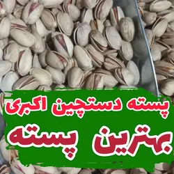 پسته اکبری نیم کیلو