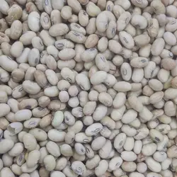 سویا آجیلی لیمویی ترد و خوش طعم جدید