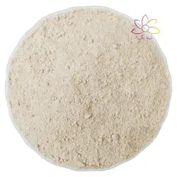 پودر جوانه گندم خانگی اعلاء شاه تگ - نیم کیلوگرم